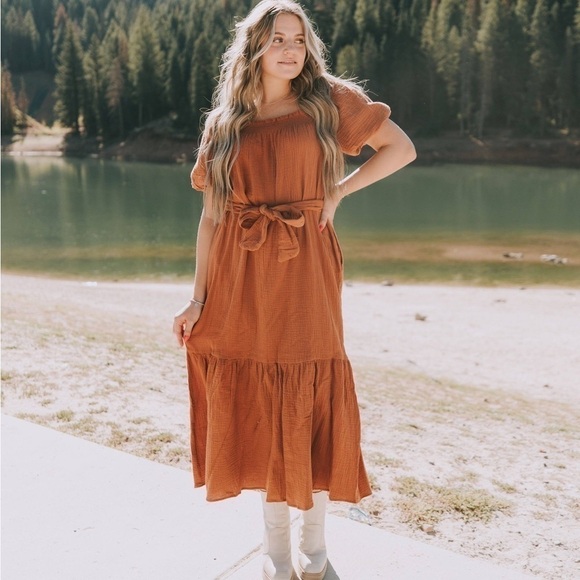 Lush Ginger Puffed Sleeve Dress - M - Picture 7 of 9